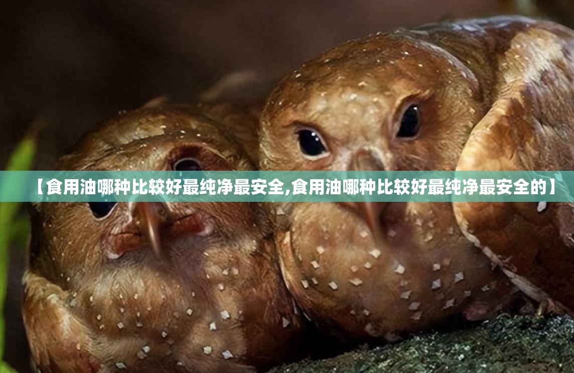 【食用油哪种比较好最纯净最安全,食用油哪种比较好最纯净最安全的】