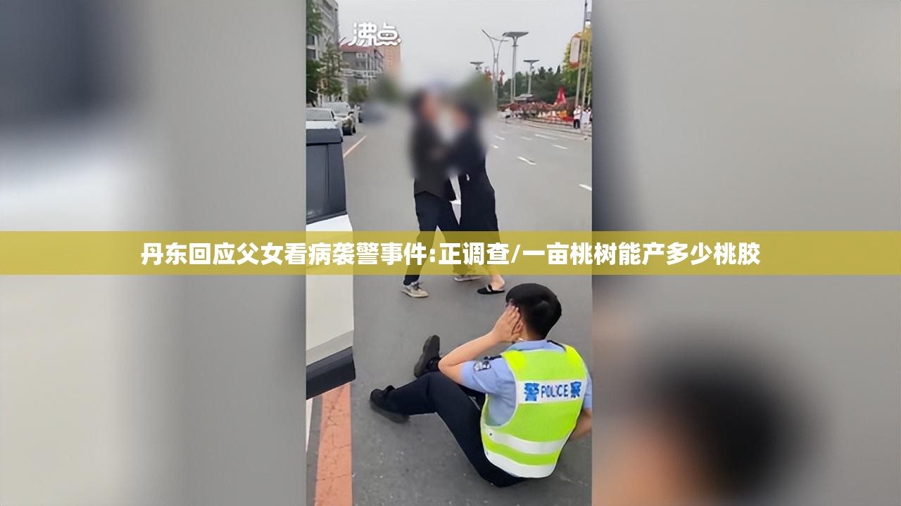 丹东回应父女看病袭警事件:正调查/一亩桃树能产多少桃胶 丹东回应父女看病袭警事件:正调查/一亩桃树能产多少桃胶