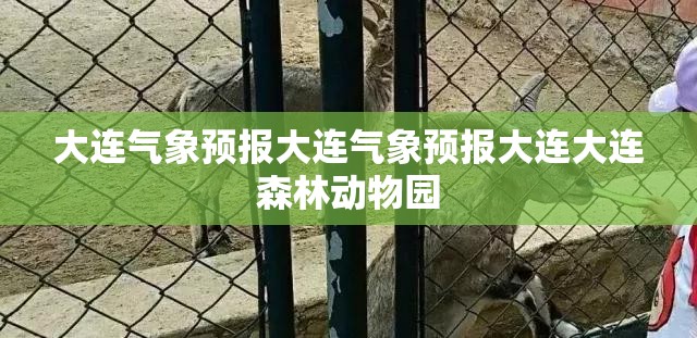 大连气象预报大连气象预报大连大连森林动物园