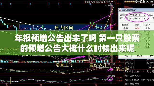 年报预增公告出来了吗 第一只股票的预增公告大概什么时候出来呢 年报预增公告出来了吗 第一只股票的预增公告大概什么时候出来呢