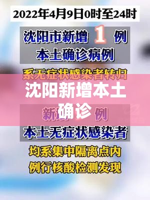 【沈阳新增本土确诊,沈阳新冠肺炎疫情】