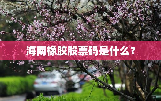 海南橡胶股票码是什么？