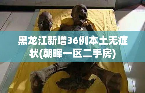 黑龙江新增36例本土无症状(朝晖一区二手房)