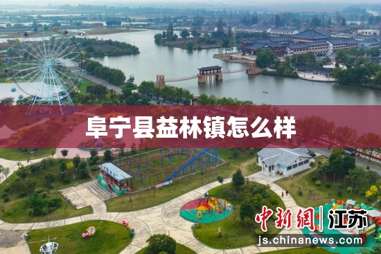阜宁县益林镇怎么样 阜宁县益林镇怎么样