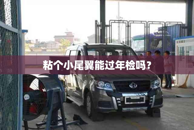 粘个小尾翼能过年检吗? 粘个小尾翼能过年检吗?