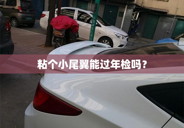 粘个小尾翼能过年检吗? 粘个小尾翼能过年检吗?