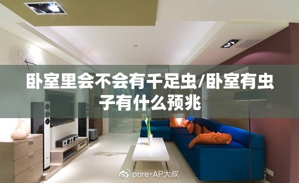 卧室里会不会有千足虫/卧室有虫子有什么预兆