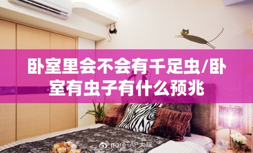 卧室里会不会有千足虫/卧室有虫子有什么预兆