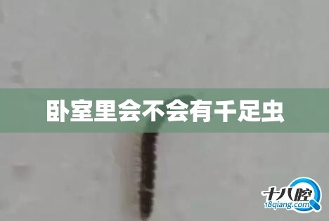 卧室里会不会有千足虫/卧室有虫子有什么预兆