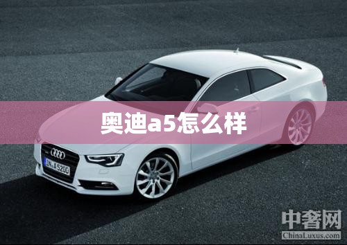 奥迪a5怎么样/2026款奥迪a5 奥迪a5怎么样/2026款奥迪a5