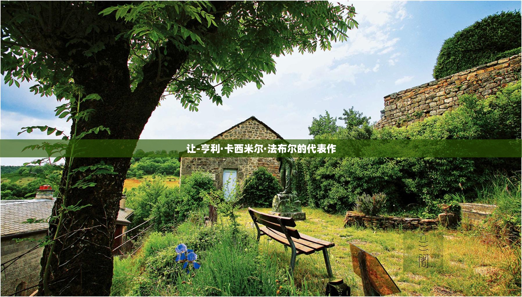 让-亨利·卡西米尔·法布尔的代表作