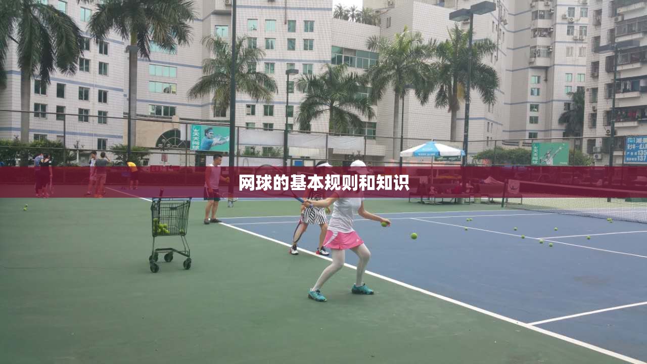 网球的基本规则和知识 网球的基本规则和知识