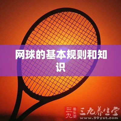 网球的基本规则和知识 网球的基本规则和知识