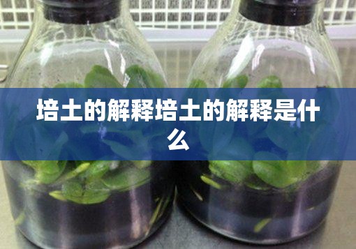 培土的解释培土的解释是什么