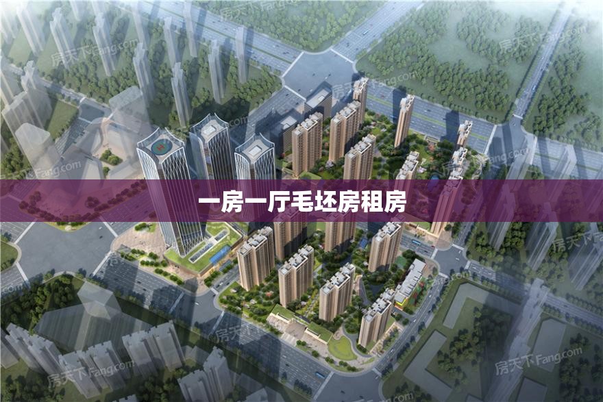 一房一厅毛坯房租房/一房一厅租房300 一房一厅毛坯房租房/一房一厅租房300