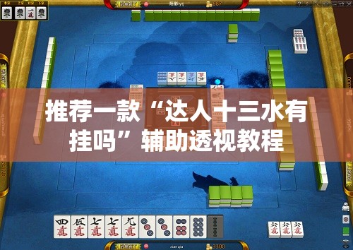 推荐一款“达人十三水有挂吗”辅助透视教程