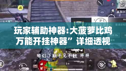 玩家辅助神器:大菠萝比鸡万能开挂神器	”详细透视教程