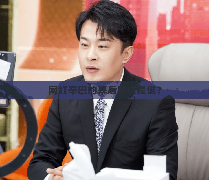网红辛巴的幕后老板是谁? 网红辛巴的幕后老板是谁?