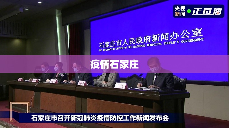疫情石家庄(疫情石家庄第一个放开)