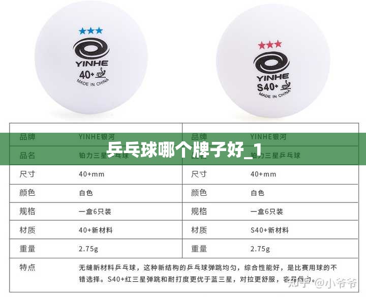 乒乓球哪个牌子好_1 乒乓球哪个牌子好_1