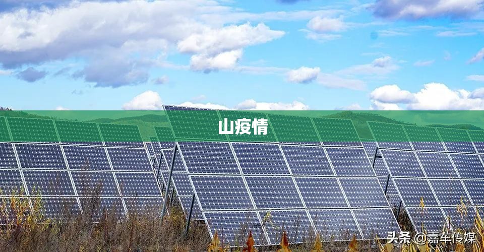【山疫情,山东疫情】