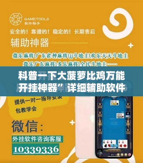 科普一下大菠萝比鸡万能开挂神器	”详细辅助软件教程