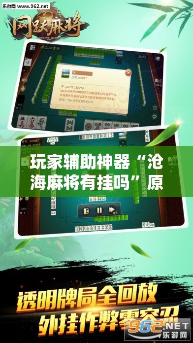 玩家辅助神器“沧海麻将有挂吗”原来有挂 难怪会一直输