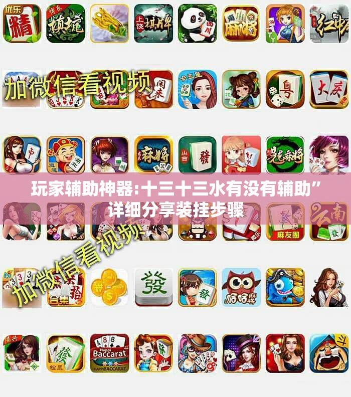 玩家辅助神器:十三十三水有没有辅助”详细分享装挂步骤