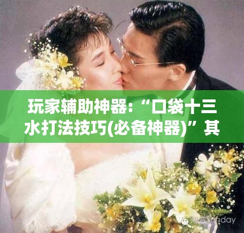 玩家辅助神器:“口袋十三水打法技巧(必备神器)”其实真的确实有挂