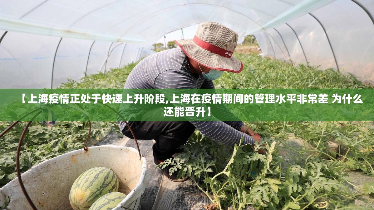 【上海疫情正处于快速上升阶段,上海在疫情期间的管理水平非常差 为什么还能晋升】 【上海疫情正处于快速上升阶段,上海在疫情期间的管理水平非常差 为什么还能晋升】