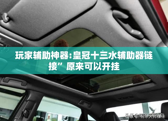 玩家辅助神器:皇冠十三水辅助器链接	”原来可以开挂