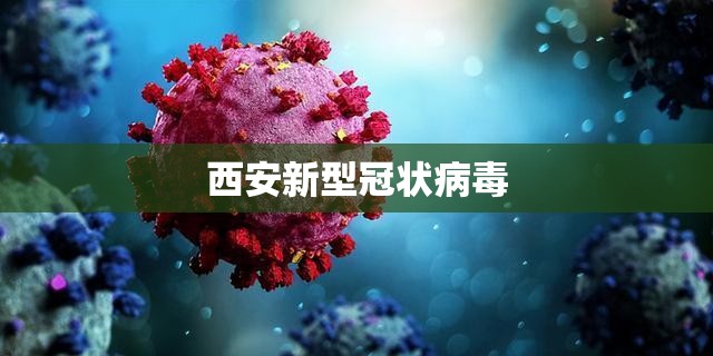 西安新型冠状病毒/西安新型冠状病毒最新动态 西安新型冠状病毒/西安新型冠状病毒最新动态