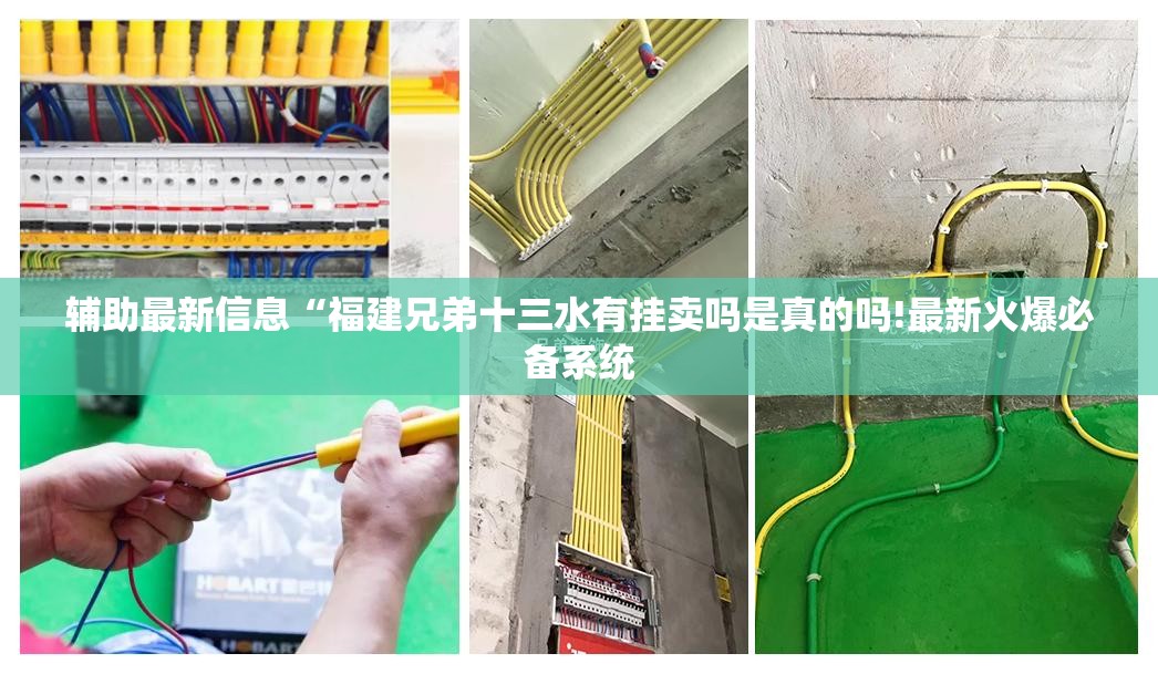 辅助最新信息“福建兄弟十三水有挂卖吗是真的吗!最新火爆必备系统