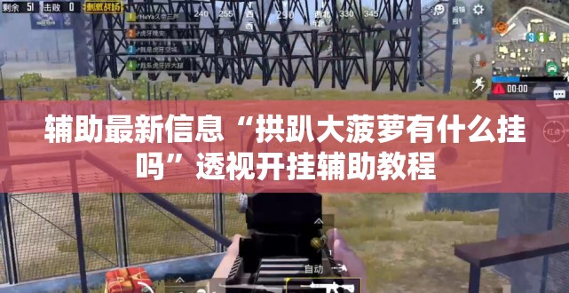 辅助最新信息“拱趴大菠萝有什么挂吗	”透视开挂辅助教程