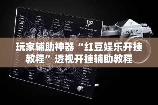 玩家辅助神器“红豆娱乐开挂教程”透视开挂辅助教程