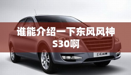 谁能介绍一下东风风神S30啊 谁能介绍一下东风风神S30啊