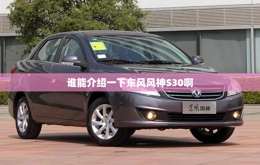 谁能介绍一下东风风神S30啊 谁能介绍一下东风风神S30啊