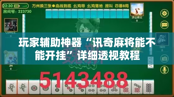 玩家辅助神器“讯奇麻将能不能开挂	”详细透视教程