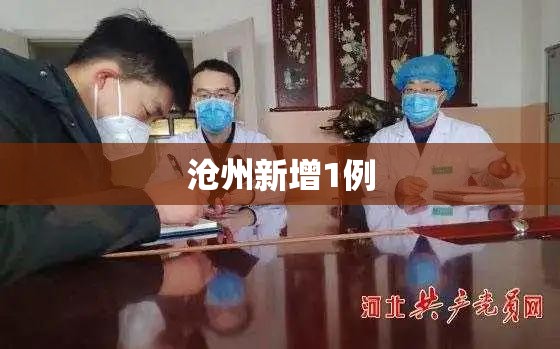 关于沧州新增1例的信息