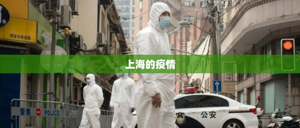 【上海的疫情,上海的疫情有几例】 【上海的疫情,上海的疫情有几例】