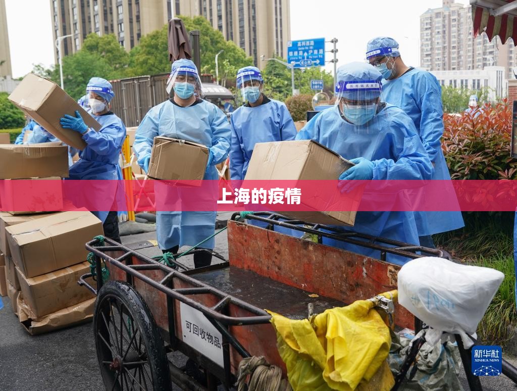 【上海的疫情,上海的疫情有几例】 【上海的疫情,上海的疫情有几例】