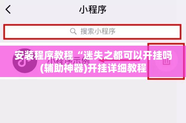安装程序教程“迷失之都可以开挂吗(辅助神器)开挂详细教程