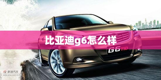 比亚迪g6怎么样 比亚迪g6怎么样