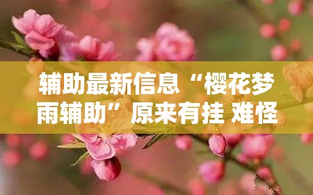 辅助最新信息“樱花梦雨辅助	”原来有挂 难怪会一直输