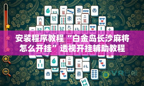 安装程序教程“白金岛长沙麻将怎么开挂”透视开挂辅助教程
