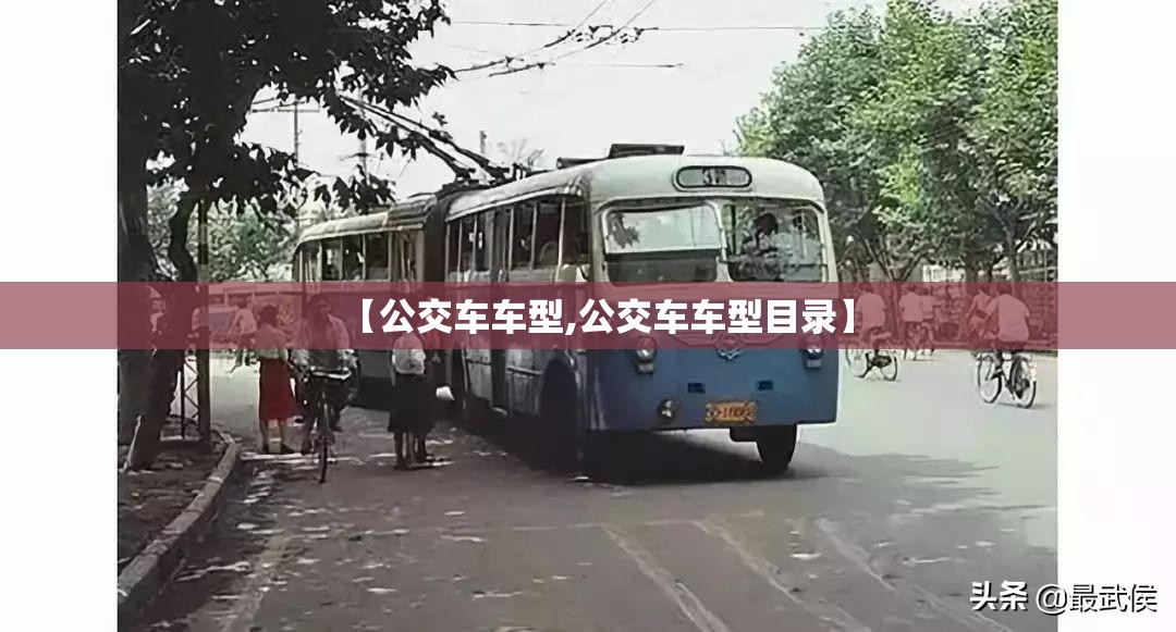 【公交车车型,公交车车型目录】