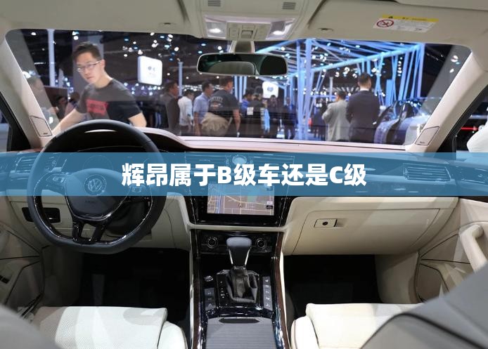 辉昂属于B级车还是C级 辉昂属于B级车还是C级