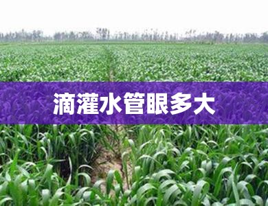 滴灌水管眼多大 滴灌水管眼多大