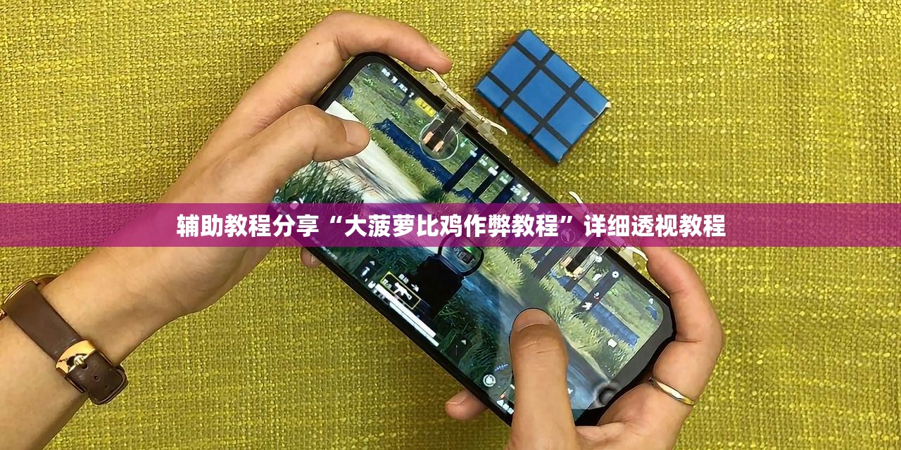 辅助教程分享“大菠萝比鸡作弊教程	”详细透视教程