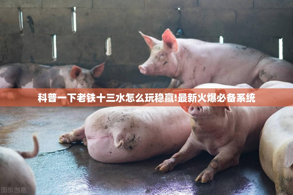 科普一下老铁十三水怎么玩稳赢!最新火爆必备系统